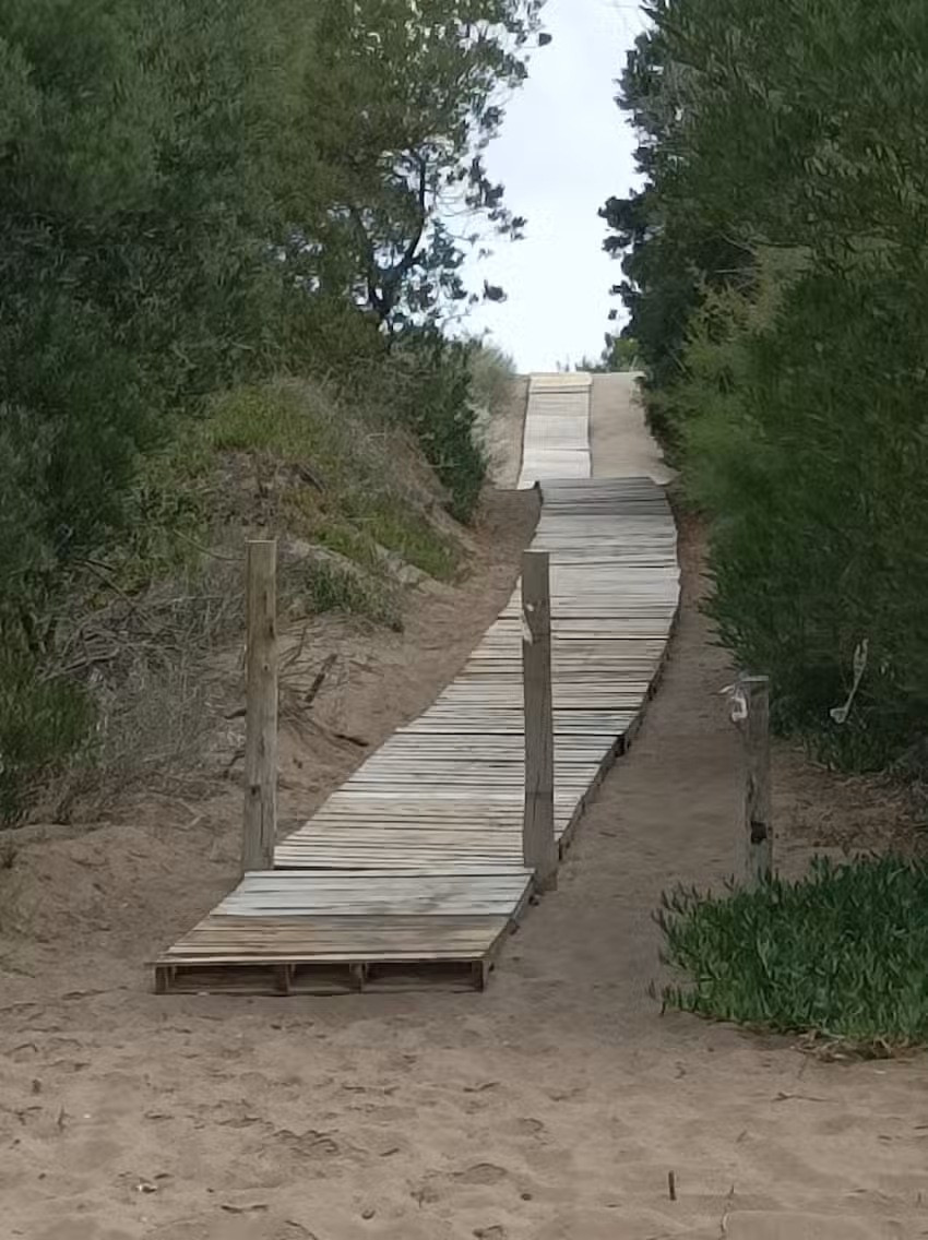 CABAÑAS SILVIA DEL SAUCE