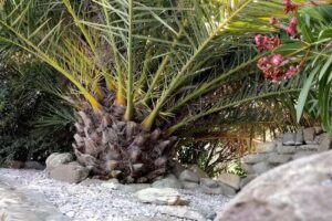 Cabañas Solar de las Sierras