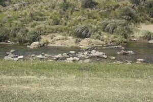 Cabañas sueño de mi viejo