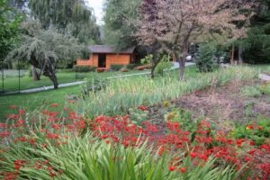 Cabañas Sukal – Flores Secas