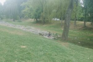 Cabañas Susurros Del Rio