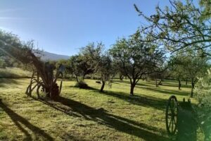 Cabañas Tierra Azul