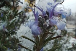 Cabañas Tierra del Sol