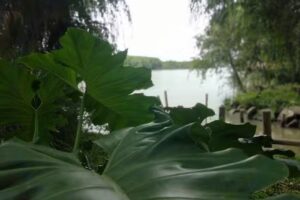 Cabañas Tomalo con Calma