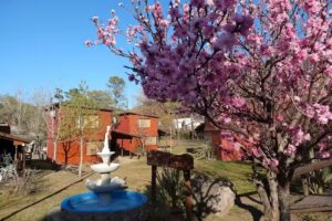 Cabañas Trancas Y Barrancas