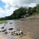 Cabañas Trenque Lauquen