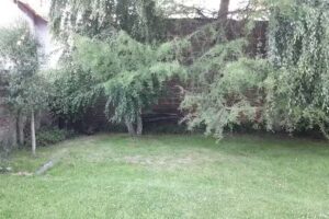 Cabañas Turísticas EL SAUCE