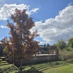 Cabañas Un Lugar, Los Reartes