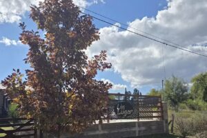 Cabañas Un Lugar, Los Reartes