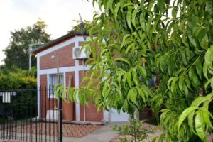 Cabañas Uvas de la Colonia