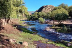 Cabañas Valle de Huaco