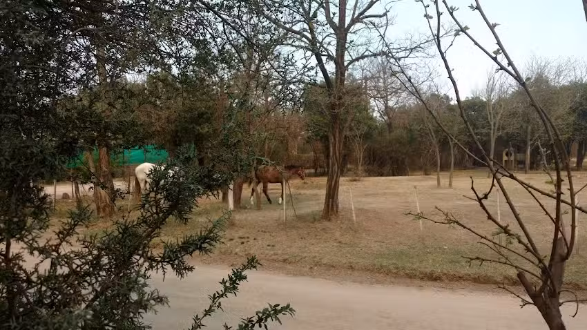 Cabañas Valle del Molino