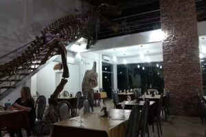 Cabañas Valle Pintado