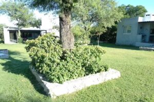 Cabañas Viejas Raices