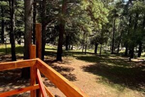 Cabañas Villa Alpina