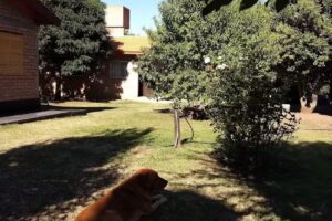 Cabañas Virgen de Fatima