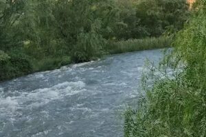 Cabañas y Dormis La Faustina