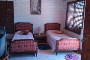 Cabañas y feria “Las Paltas”