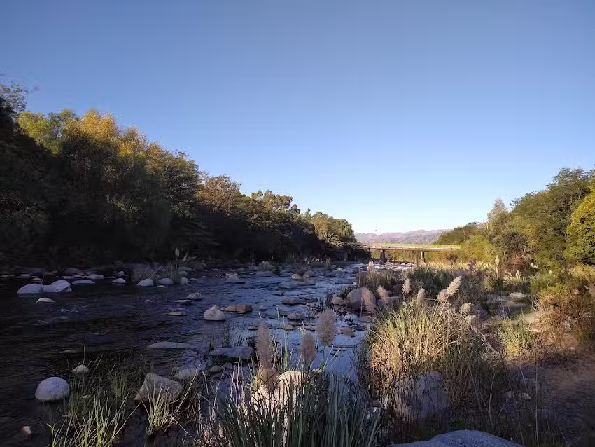 Cabañas y feria “Las Paltas”
