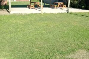 Cabañas y Pileta Villa Sada Olga