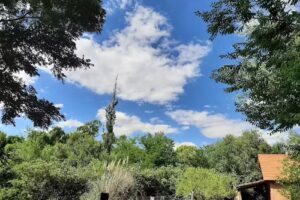 Cabañas Yerba Buena – Arroyo de los Patos