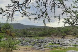 Cabanias El Viejo Aguaribay alojamiento