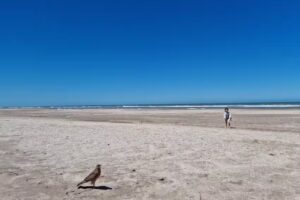 Cáfila Boutique Apartments &Spa