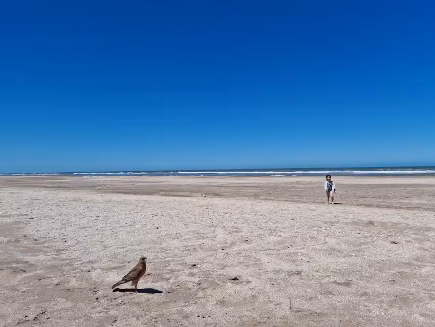 Cáfila Boutique Apartments &Spa