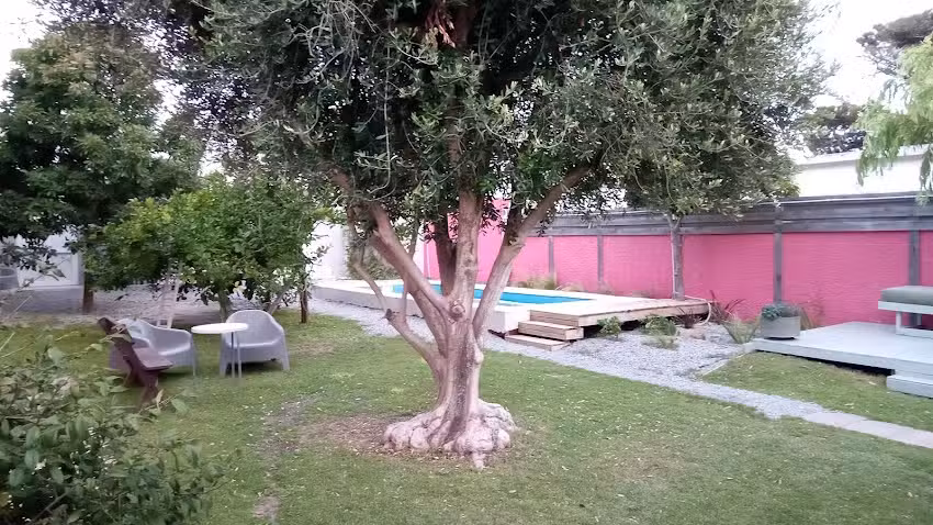 Caipirinhas departamentos