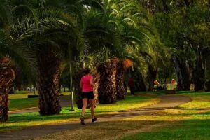 Cala Alquiler Temporario Olavarria