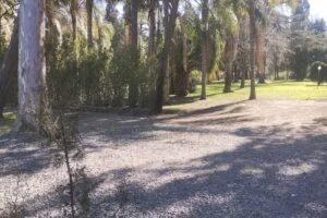 Camping 13 de Diciembre, SIPGER y BIOPA