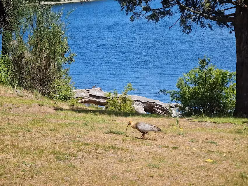 Camping Agreste Bahía Steffen