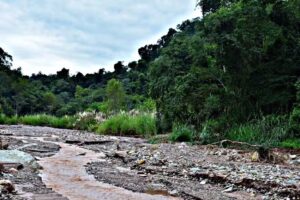 Camping Aguas Negras