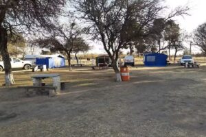 Camping Arbol Solo