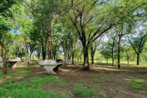 Camping Balneario Fighiera