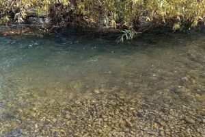 Camping Barda Del Medio, Rio Negro