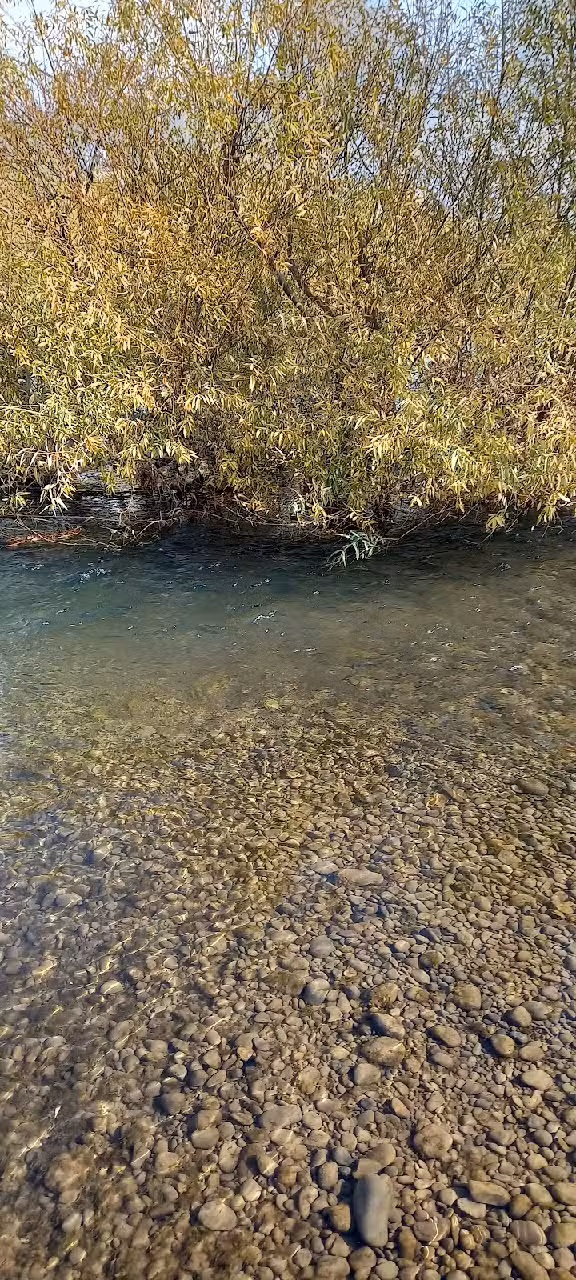 Camping Barda Del Medio, Rio Negro