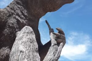 Camping Bosque Encantado