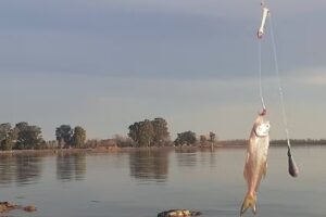 Camping Camino del Sol