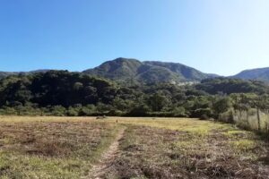 Camping Campo Quijano