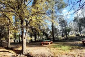 Camping Club Banco Nación General Alvear