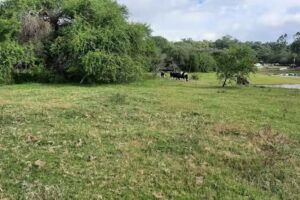 Camping Club de Caza y Pesca UNT