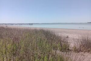 Camping Club De Lobos