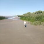 Camping “Club de Pescadores”