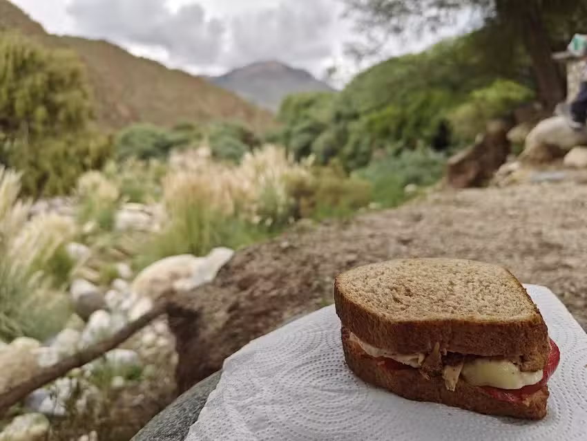 Camping Comunidad Diaguita El Algarrobal