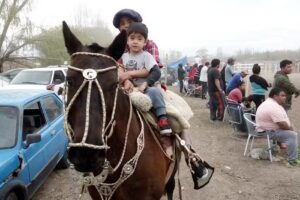 Camping Cooperativa Roca