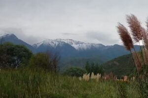 Camping Costa Del Rio Santa Florentina