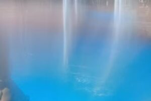 Camping Del Centro De Empleados De Comercio “José Riesco”