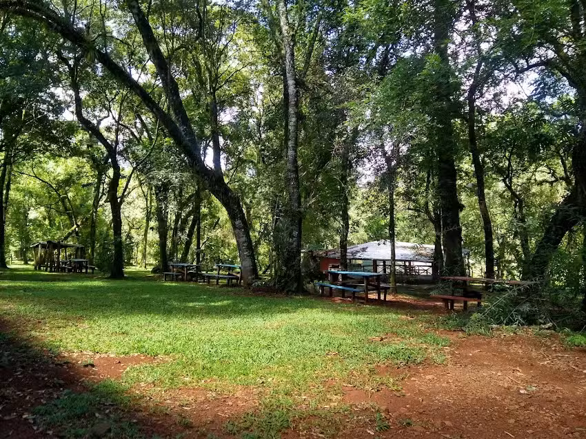 Camping Der Wald