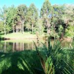 Camping Don Juan